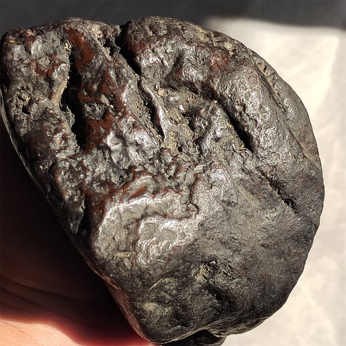 Iron nickel meteorite - lb,
