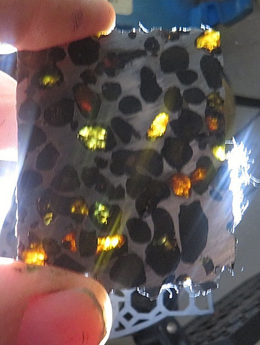 Gm sericho pallasite - 24,